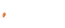 New_Logo_Site